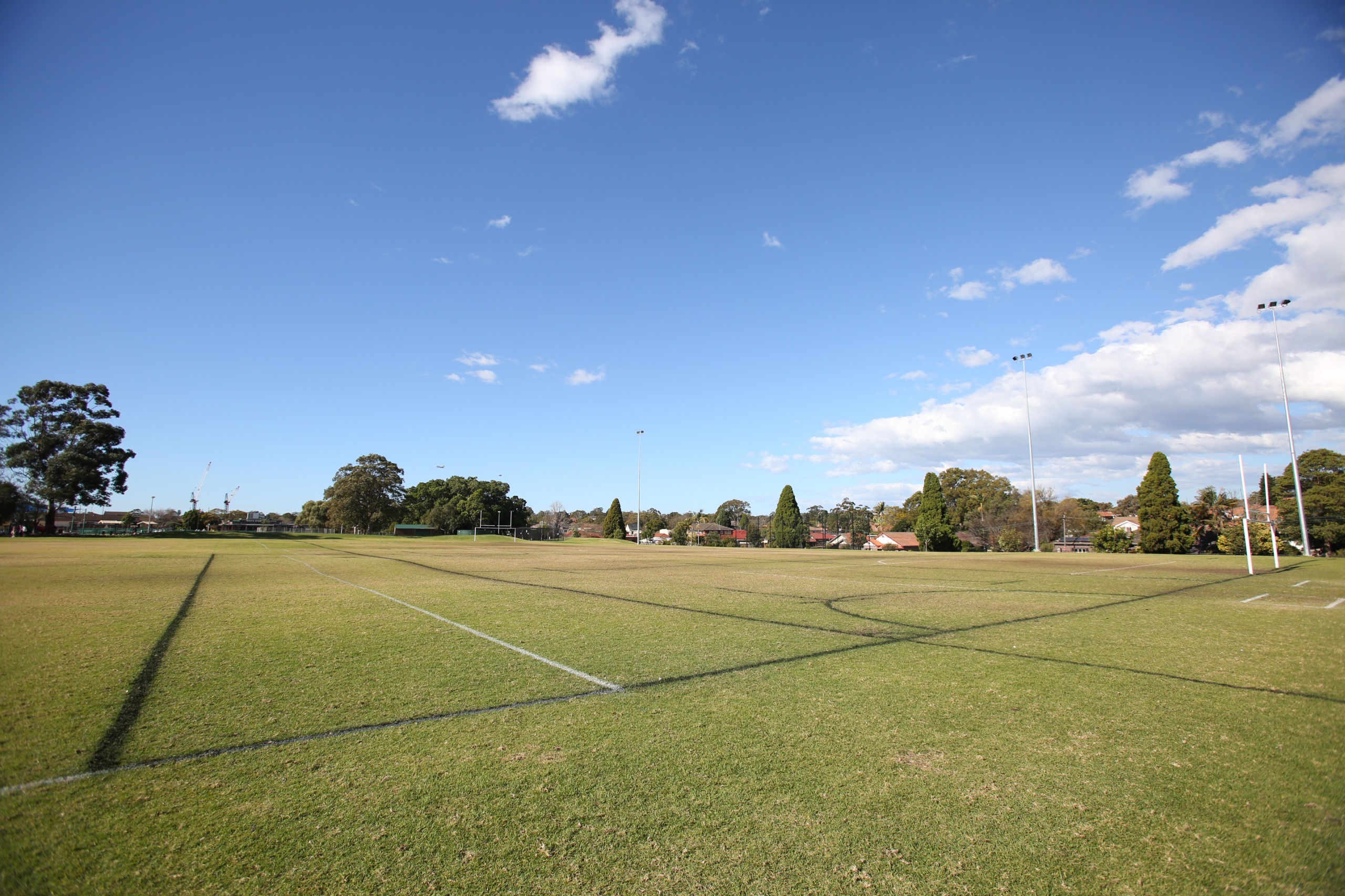 Upgrading Centenary Park, Croydon | Your Say Inner West