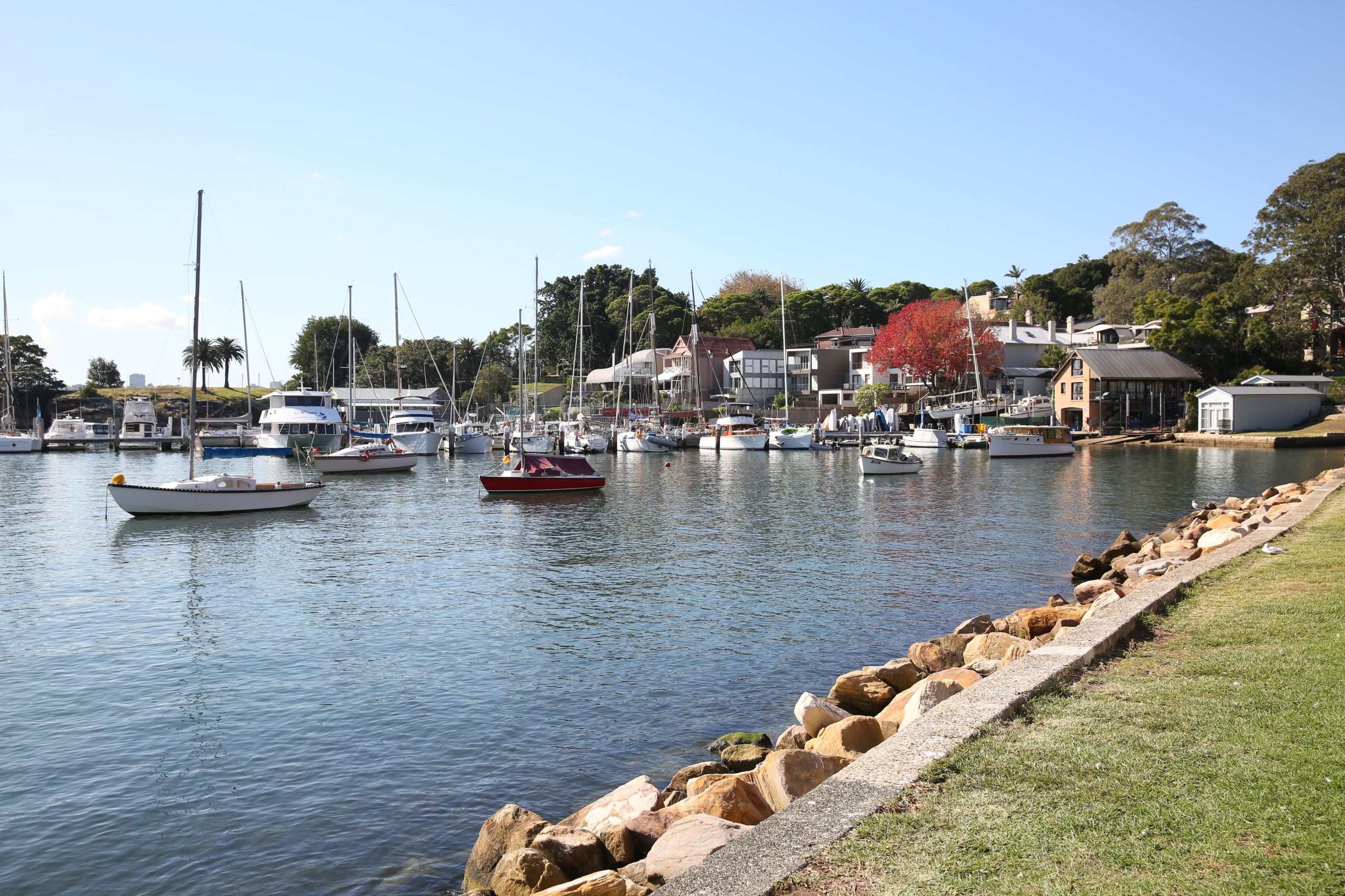 Planning the future of Paringa Reserve | Your Say Inner West